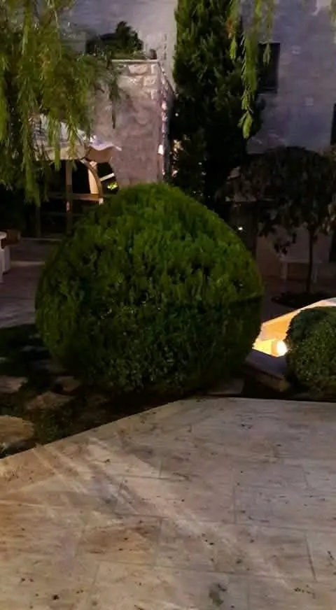 الرنتيسي للحدائق