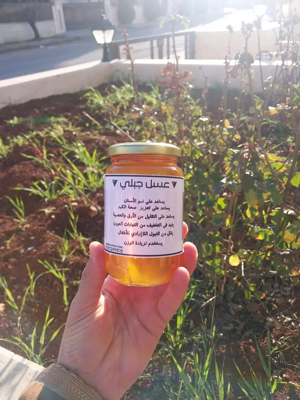 عسل جبلي بلدي