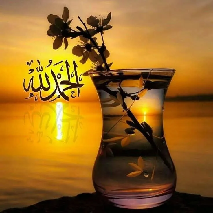 كهربجي وموسرجي على استعداد تام لصيانة المنازل بأسعار تناسب الجميع اربد
