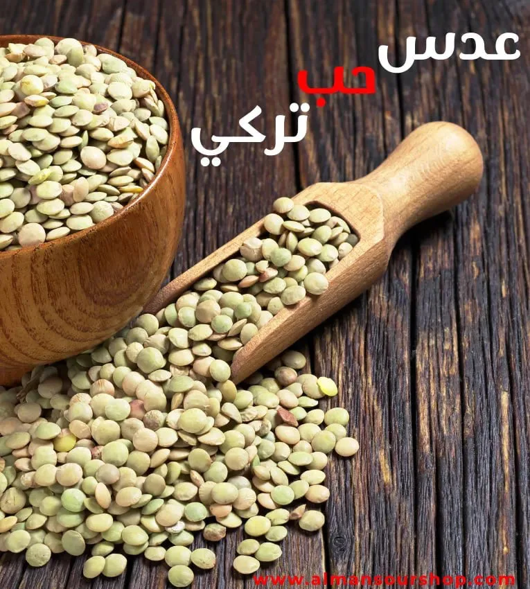 عدس حب تركي