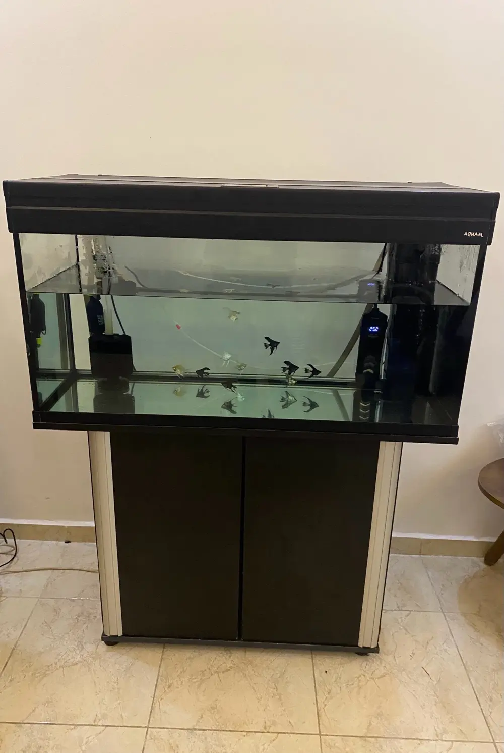 حوض سمك اجنبي بولندي اكوائيل