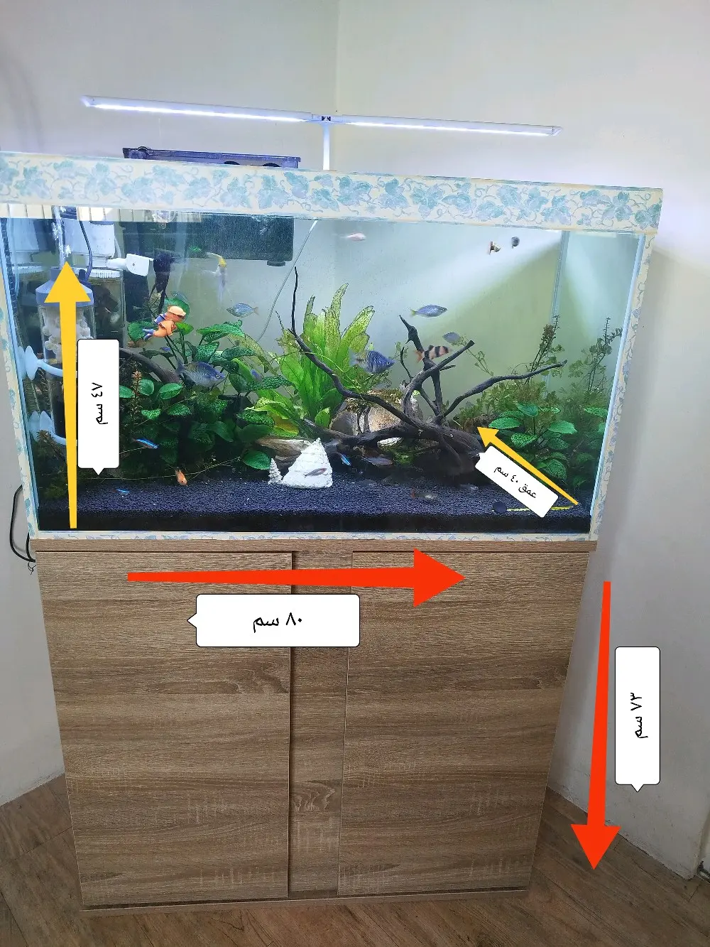 للبيع لعدم التفرغ : حوض سمك نهري كامل ونظيف جداً