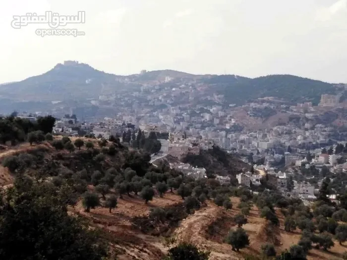 � أرض بإطلالة مباشرة على قلعة عجلون للبيع
