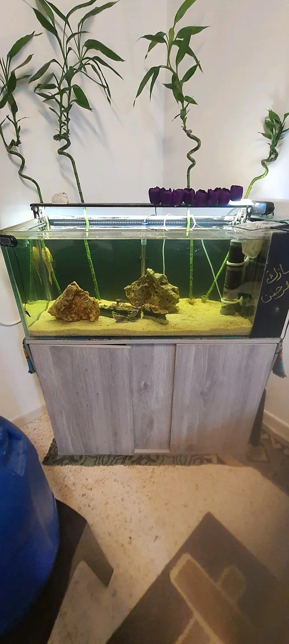 حوض سمك نهري 100×40×40 مع طاولة