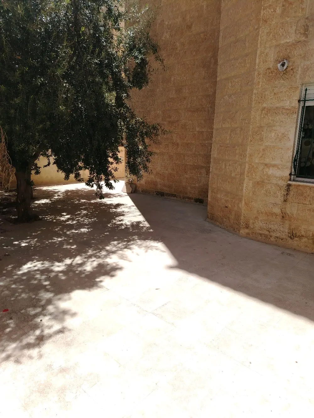 شقة أرضية