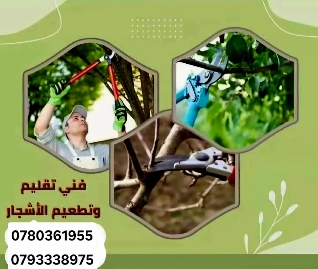 #فني_تقليم_وتطعيم_الاشجار👈لأي إستفسار 📱 0780361955👈لأي إستفسار 📱0793338975‏رغم ك