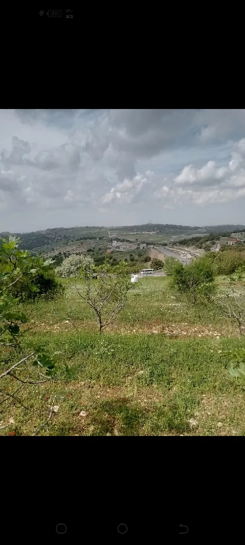 دونمين ارض للبيع في عجلون