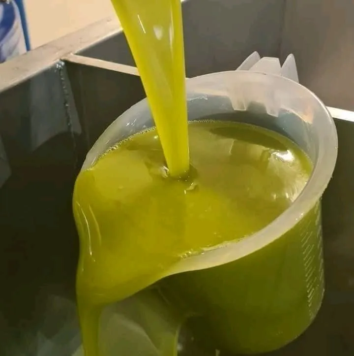 زيت زيتون