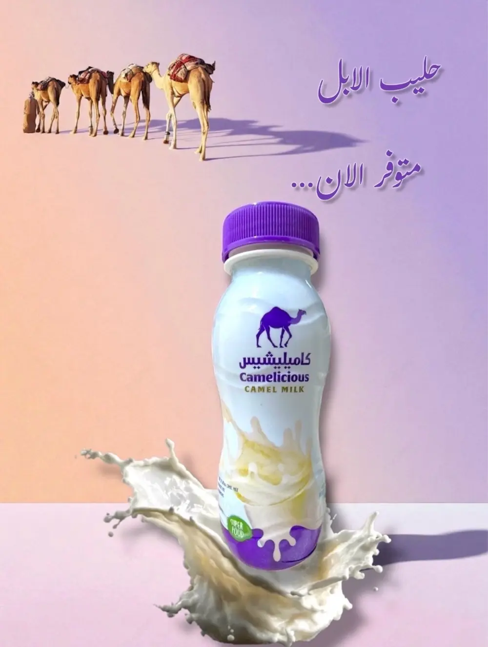 �🥛 حليب الإبل متوفر الآنمن أفضل أنواع الحليب الطبيعية